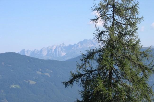 Sommerurlaub in Flachau