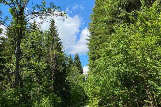 Weg der guten Wünsche