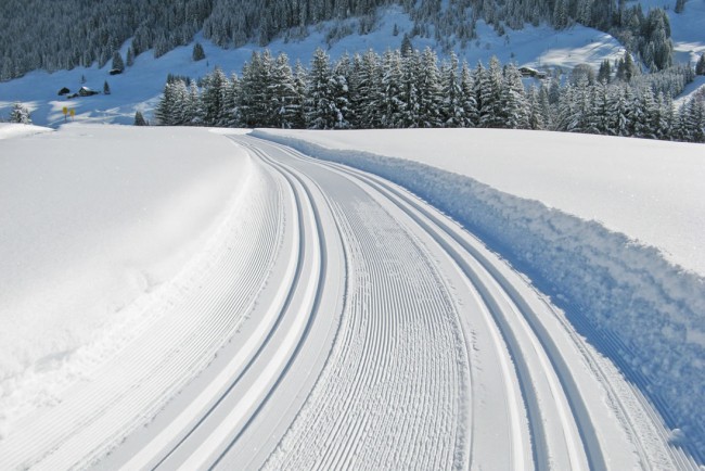 Winterwandern & Langlaufen in Flachau